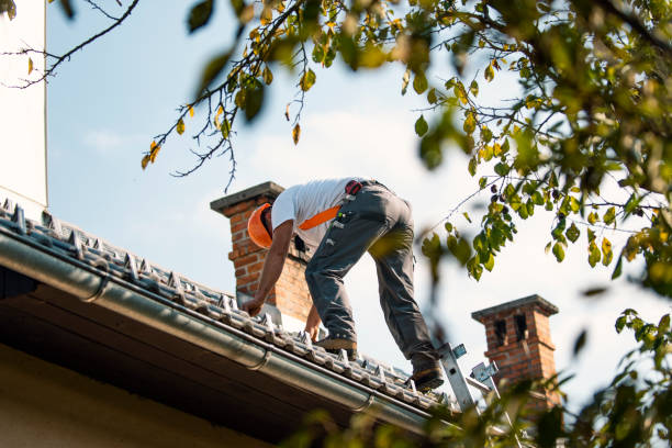 Gutter Replacement in River Ridge, FL