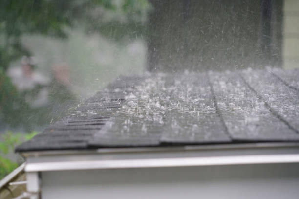 Best Roof Coating and Sealing  in River Ridge, FL