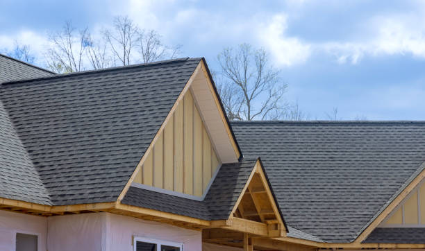 Best Roof Leak Repair  in River Ridge, FL
