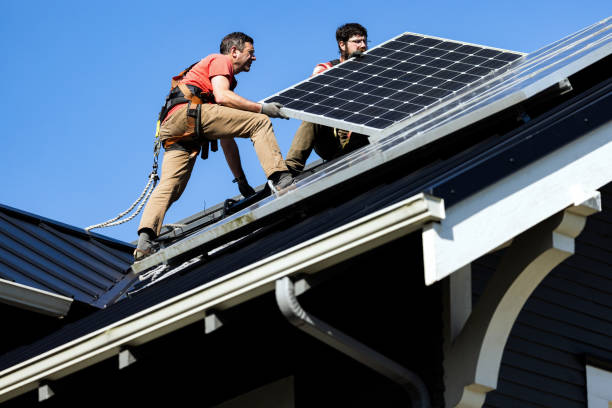 Best Skylight Installation and Repair  in River Ridge, FL