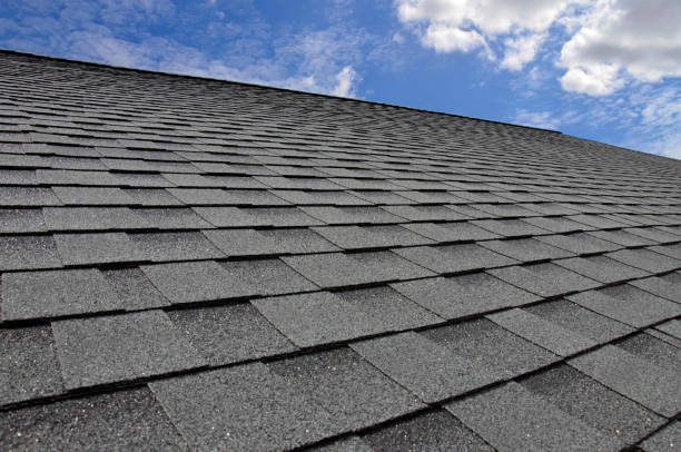 Best Roof Installation  in River Ridge, FL
