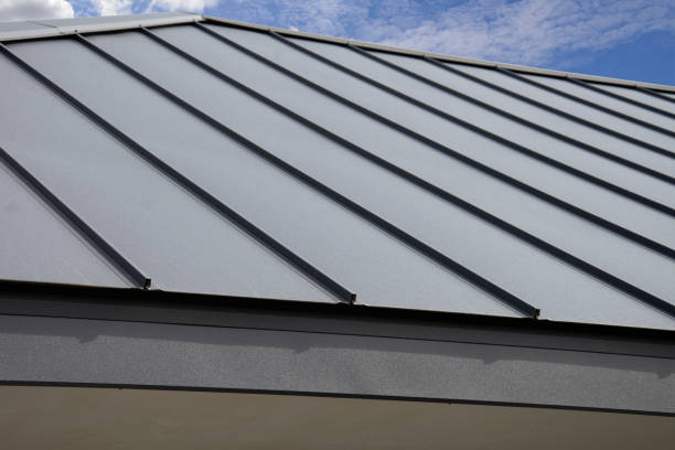 Best Gutter Installation and Repair  in River Ridge, FL