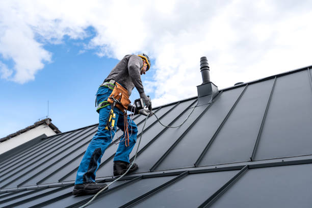 Best Gutter Installation and Repair  in River Ridge, FL