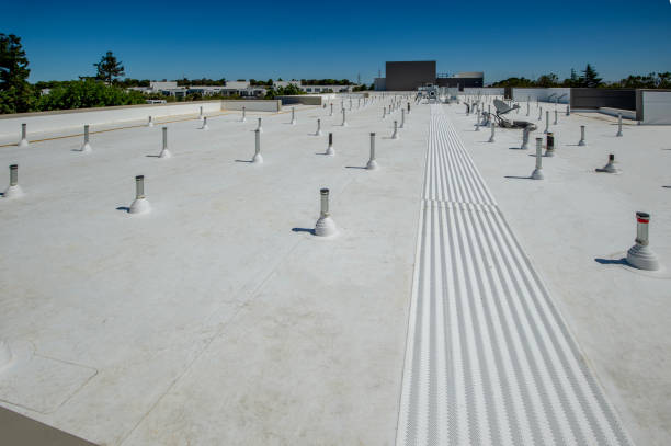 Best Wood Shake Roofing  in River Ridge, FL